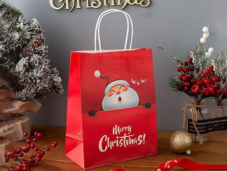 Christmas Paper Gift Bag